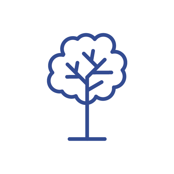 picto arbre