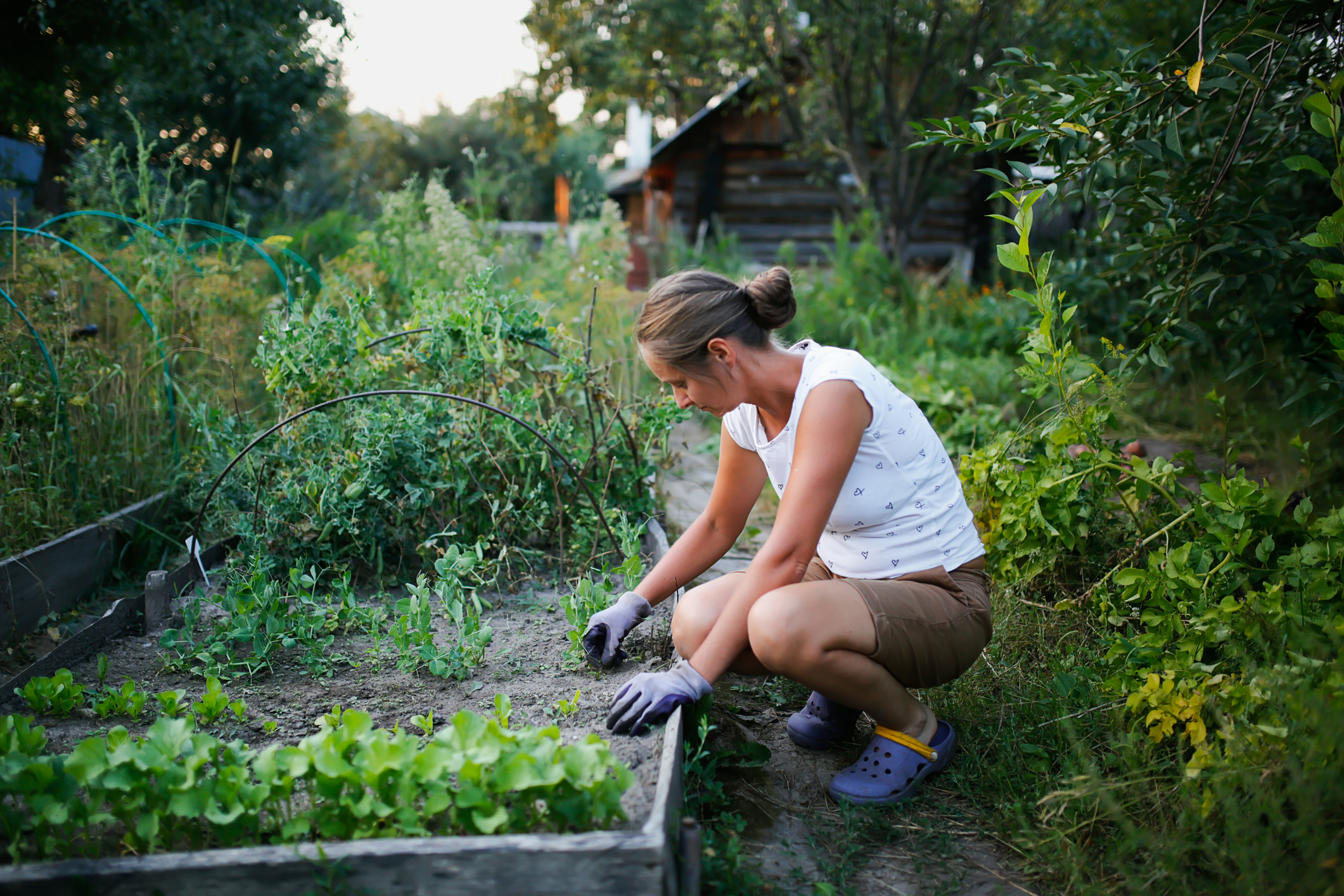 femme dans son potager