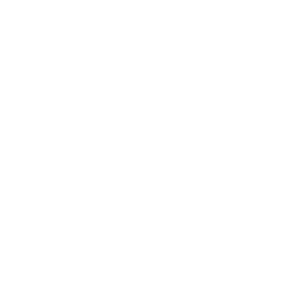 main euro