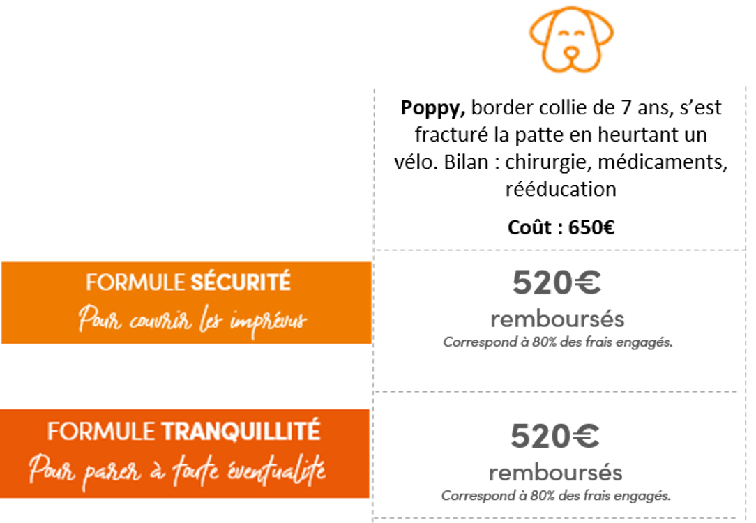 Exemple 2 (Droite) : Formule Sécurité : 520 € (Montant global) Formule Tranquillité : 422,5 € (Montant global) Une Option est également mentionnée sous les formules, avec des tarifs associés.