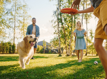 chien joue dehors avec famille