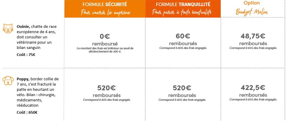 tableau-sante-animale